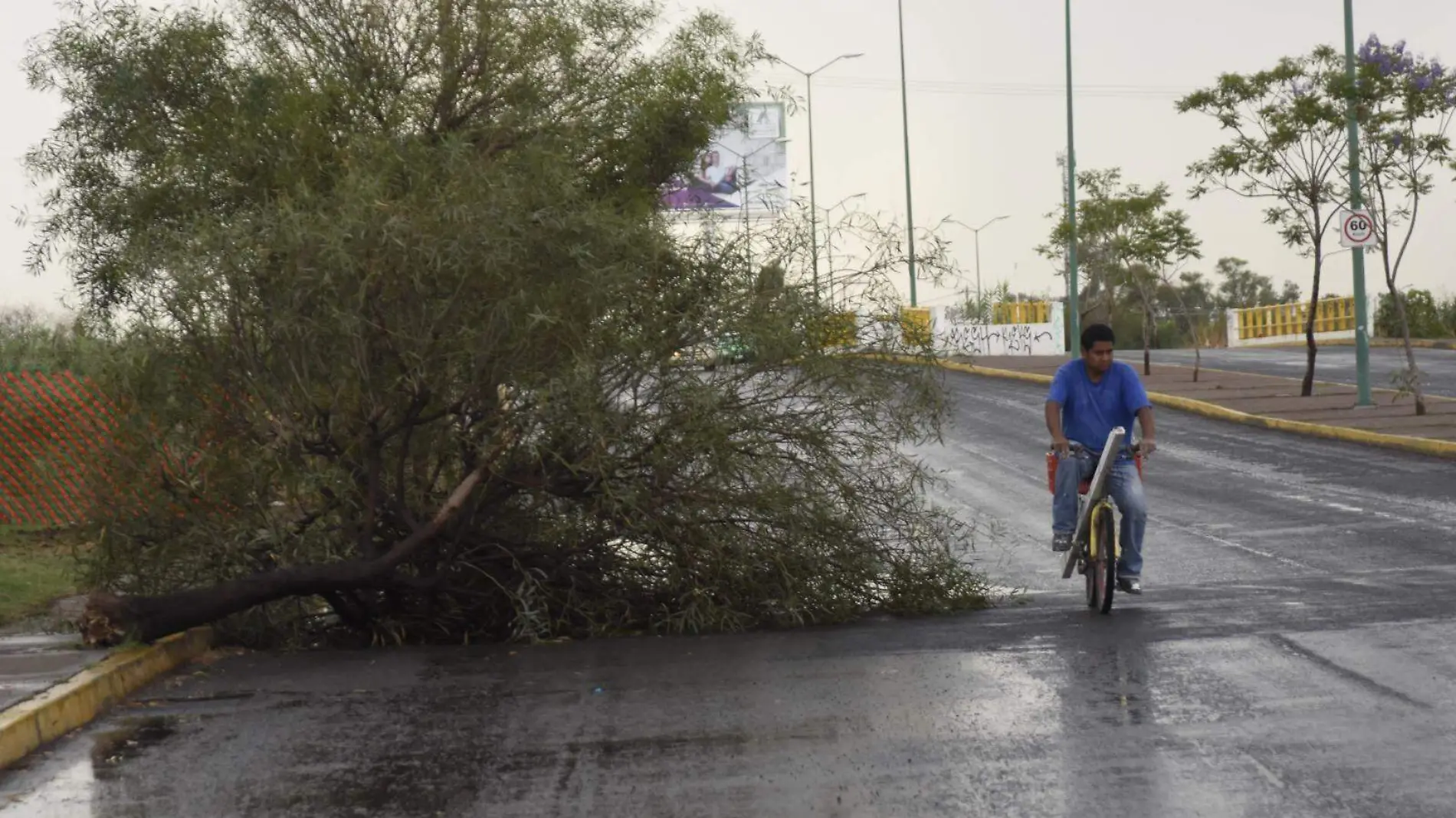 Primera lluvia en Irapuato genera afectaciones (1)